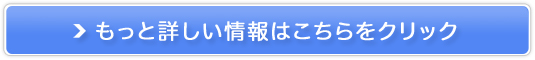 sA~[Y zChK[h̔TCg